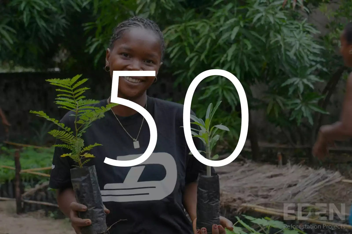 Piantare 5 alberi con Eden Reforestation Projects
