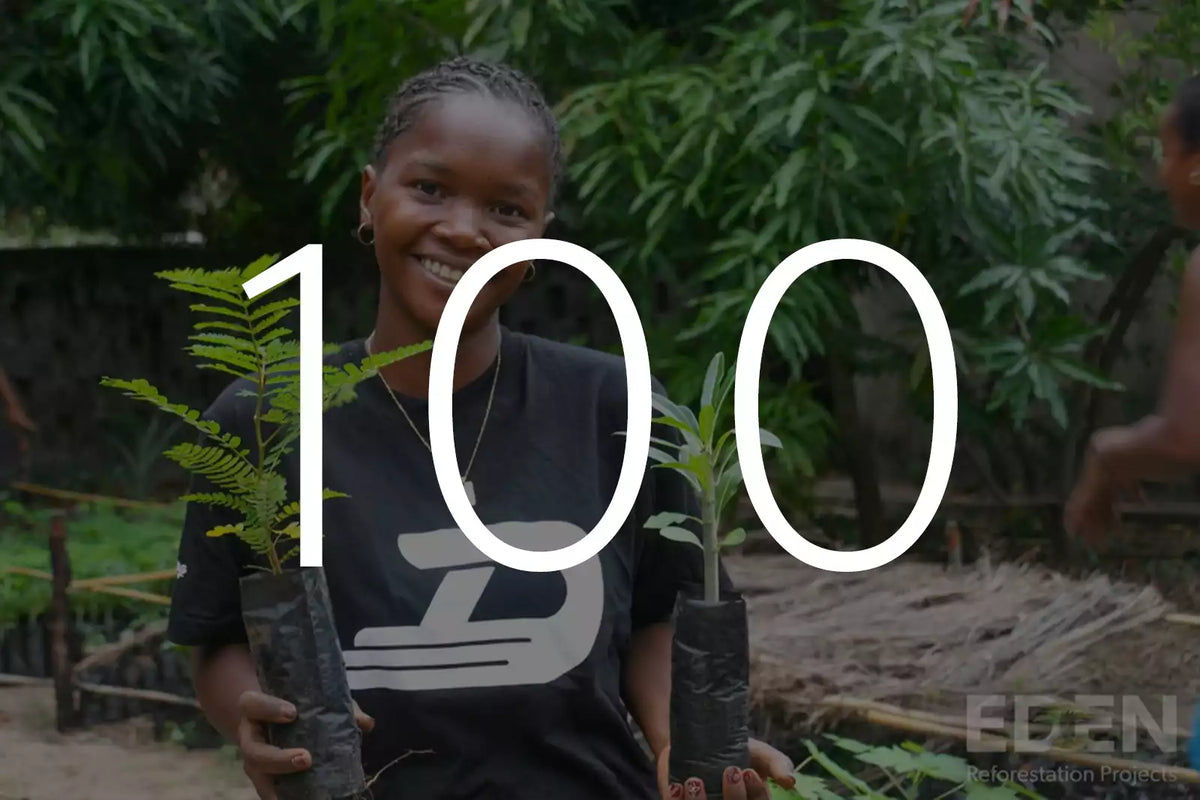 Plantar 5 árboles con Eden Reforestation Projects