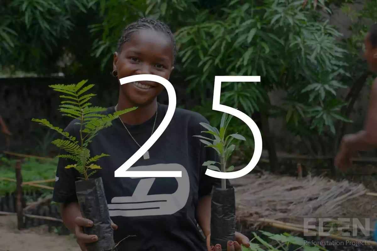 Plantar 5 árboles con Eden Reforestation Projects